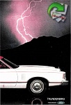 Ford 1976 340.jpg
